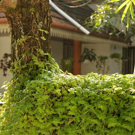 Mi Casa Tu Casa Homestay Kochi المظهر الخارجي الصورة